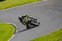 cadwell-no-limits-trackday;cadwell-park;cadwell-park-photographs;cadwell-trackday-photographs;enduro-digital-images;event-digital-images;eventdigitalimages;no-limits-trackdays;peter-wileman-photography;racing-digital-images;trackday-digital-images;trackday-photos